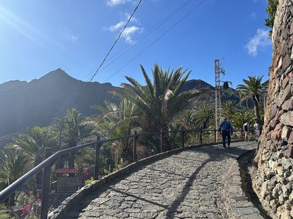 FOTKA - Masca - prodn rj