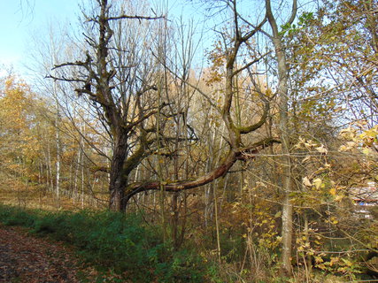 FOTKA - I tady jsme byli - Lemberk