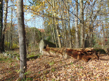 FOTKA - I tady jsme byli - Lemberk