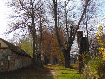 FOTKA - I tady jsme byli - Lemberk