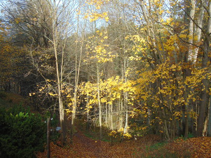 FOTKA - I tady jsme byli - Lemberk