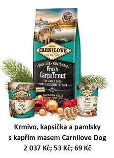 FOTKA - Vnoce opravdu pro vechny