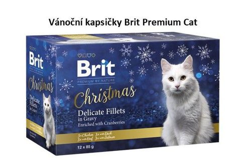 FOTKA - Vnoce opravdu pro vechny