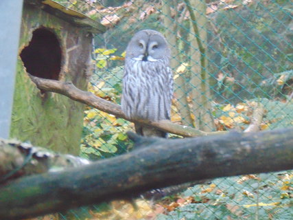 FOTKA - I tady jsme byli - Zoo Dn a vyhldka na Pastsk stn