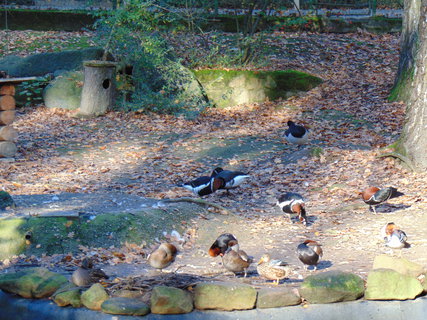 FOTKA - I tady jsme byli - Zoo Dn a vyhldka na Pastsk stn