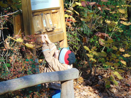 FOTKA - I tady jsme byli - Zoo Dn a vyhldka na Pastsk stn