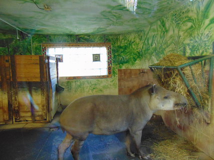 FOTKA - I tady jsme byli - Zoo Dn a vyhldka na Pastsk stn