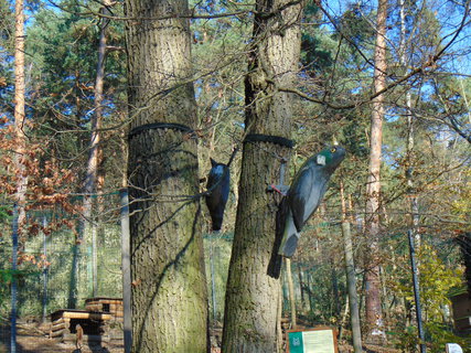 FOTKA - I tady jsme byli - Zoo Dn a vyhldka na Pastsk stn