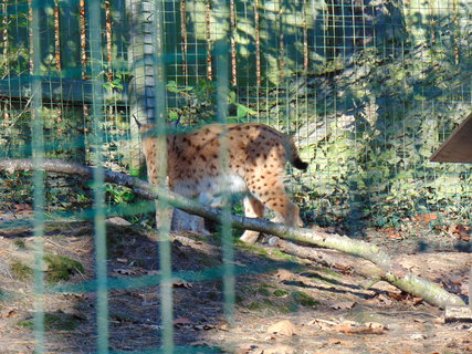 FOTKA - I tady jsme byli - Zoo Dn a vyhldka na Pastsk stn