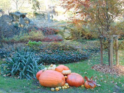 FOTKA - I tady jsme byli - Zoo Dn a vyhldka na Pastsk stn