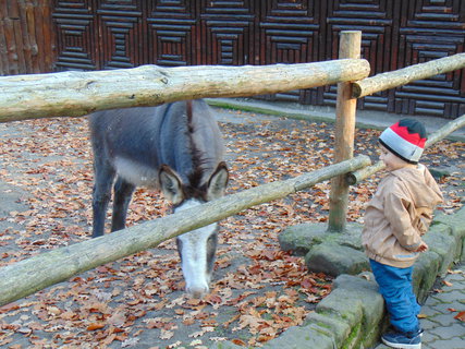 FOTKA - I tady jsme byli - Zoo Dn a vyhldka na Pastsk stn