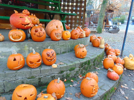 FOTKA - I tady jsme byli - Zoo Dn a vyhldka na Pastsk stn