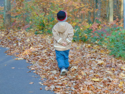 FOTKA - I tady jsme byli - Zoo Dn a vyhldka na Pastsk stn