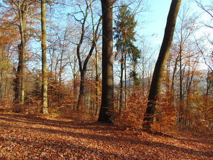 FOTKA - I tady jsme byli - Zoo Dn a vyhldka na Pastsk stn