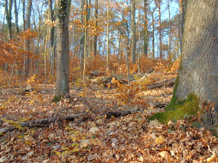 FOTKA - I tady jsme byli - Zoo Dn a vyhldka na Pastsk stn