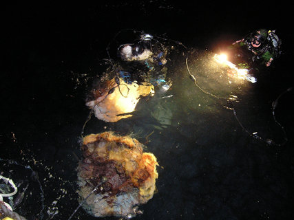 FOTKA - Tajemstv ralok, veverek a medz na Prima ZOOM