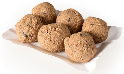 FOTKA - Zahrada ptelsk zvatm: jak pomoci ptkm, jekm i hmyzu