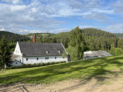 FOTKA - Skl��sk� sl�va Ann�na