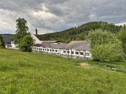 FOTKA - Skl��sk� sl�va Ann�na