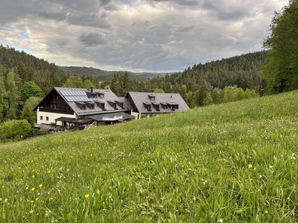 FOTKA - Skl��sk� sl�va Ann�na