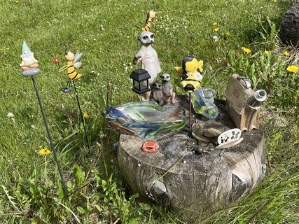 FOTKA - Skl��sk� sl�va Ann�na