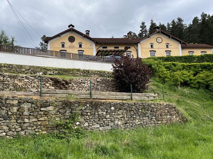 FOTKA - Skl��sk� sl�va Ann�na