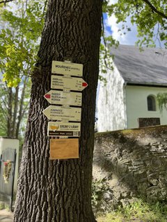 FOTKA - Skl��sk� sl�va Ann�na