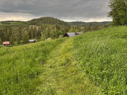 FOTKA - Skl��sk� sl�va Ann�na