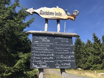 FOTKA - Z boudy na boudu