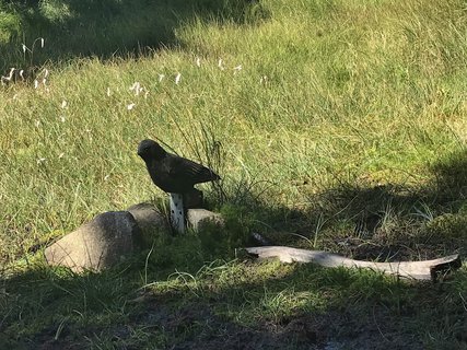 FOTKA - Z boudy na boudu