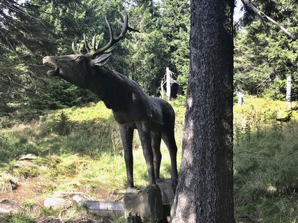 FOTKA - Z boudy na boudu