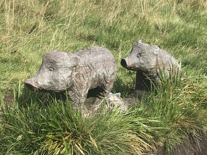 FOTKA - Z boudy na boudu