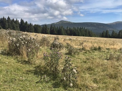 FOTKA - Z boudy na boudu