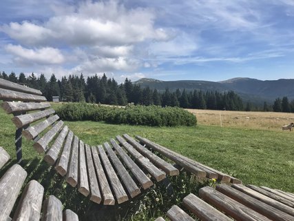 FOTKA - Z boudy na boudu