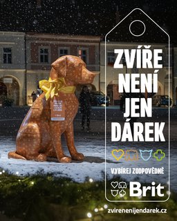 FOTKA - Nejvt esk vrobce krmiv pro domc mazlky apeluje: Zve nen jen drek