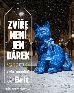 FOTKA - Nejvt esk vrobce krmiv pro domc mazlky apeluje: Zve nen jen drek