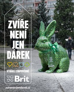 FOTKA - Nejvt esk vrobce krmiv pro domc mazlky apeluje: Zve nen jen drek