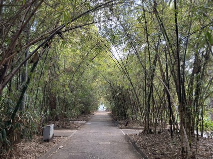 FOTKA - Santa Cruz de Tenerife - hlavn� m�sto ostrova Tenerife