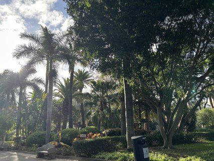 FOTKA - Santa Cruz de Tenerife - hlavn� m�sto ostrova Tenerife