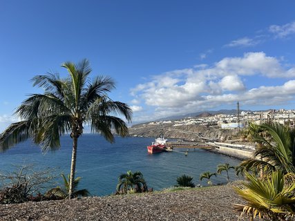 FOTKA - Santa Cruz de Tenerife - hlavn� m�sto ostrova Tenerife