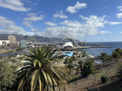 FOTKA - Santa Cruz de Tenerife - hlavn� m�sto ostrova Tenerife