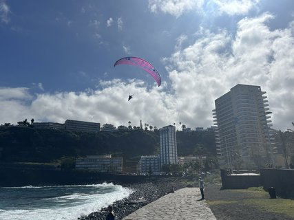 FOTKA - Puerto de la Cruz - klidn kout Tenerife