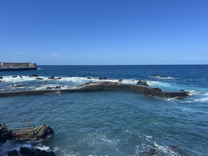 FOTKA - Puerto de la Cruz - klidn kout Tenerife