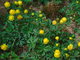 I tady jsme byli - Arboretum Bílá Lhota I tady jsme byli - Arboretum Bílá Lhota