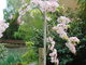 I tady jsme byli - Arboretum Bílá Lhota I tady jsme byli - Arboretum Bílá Lhota