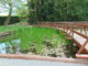 I tady jsme byli - Arboretum Bílá Lhota I tady jsme byli - Arboretum Bílá Lhota
