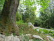 I tady jsme byli - Arboretum Bílá Lhota I tady jsme byli - Arboretum Bílá Lhota