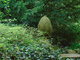I tady jsme byli - Arboretum Bílá Lhota I tady jsme byli - Arboretum Bílá Lhota
