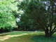 I tady jsme byli - Arboretum Bílá Lhota I tady jsme byli - Arboretum Bílá Lhota