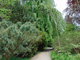 I tady jsme byli - Arboretum Bílá Lhota I tady jsme byli - Arboretum Bílá Lhota